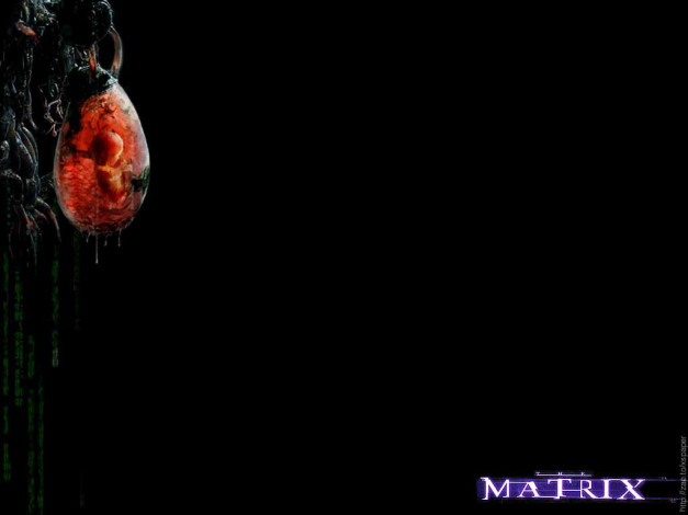 Обои картинки фото кино, фильмы, the, matrix, reloaded