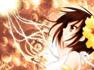 Картинка аниме the melancholy of haruhi suzumiya