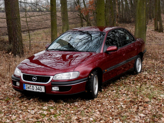 Обои картинки фото автомобили, opel