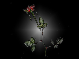 Картинка 3д графика flowers цветы