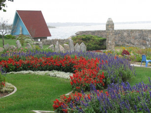 Картинка цветы разные вместе клумба