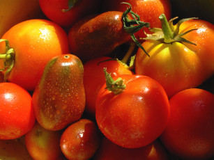 Картинка еда помидоры томаты