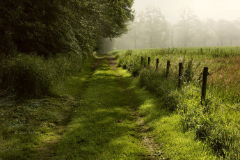 Картинка природа дороги