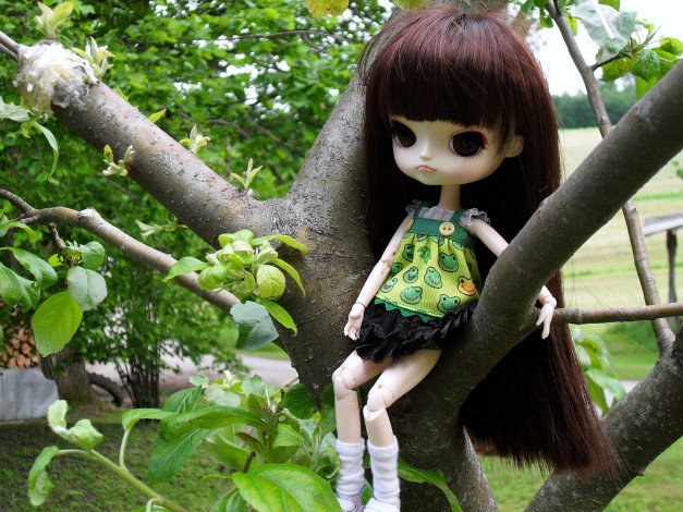 Обои картинки фото разное, игрушки, кукла