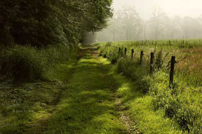 Обои картинки фото природа, дороги