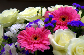 Картинка цветы разные вместе розы герберы