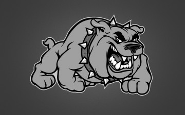 Картинка злая собака рисованные минимализм серый фон рычит зубастая ошейник шипы