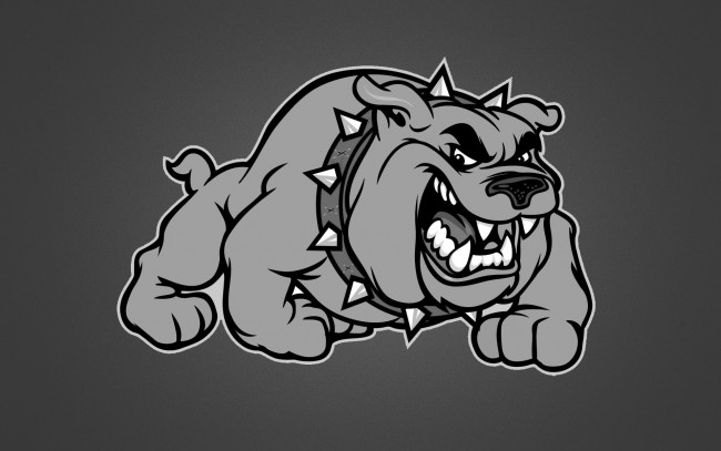 Обои картинки фото злая, собака, рисованные, минимализм, серый, фон, рычит, зубастая, ошейник, шипы