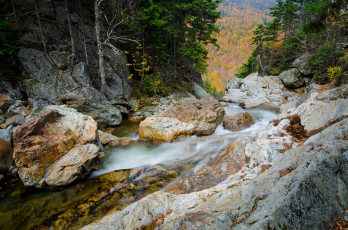 Картинка glen ellis falls new hampshire us природа реки озера лес горы река