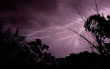 Картинка природа молния гроза вечер деревья