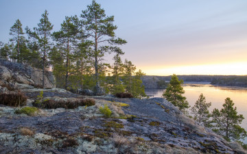 Картинка природа реки озера мох панорама озеро деревья камни трава