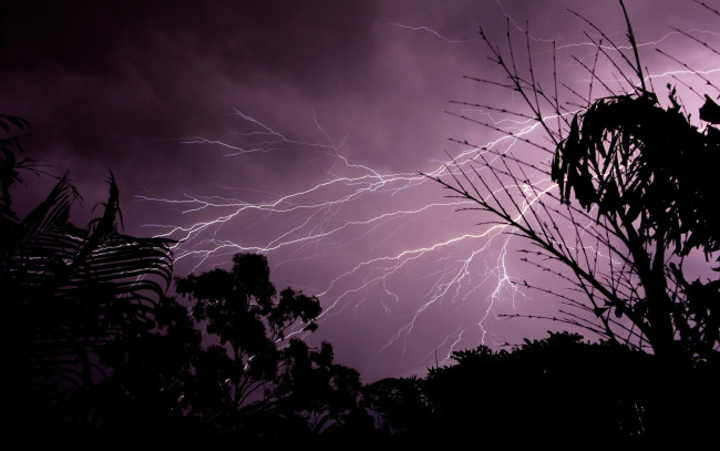 Обои картинки фото природа, молния, гроза, вечер, деревья