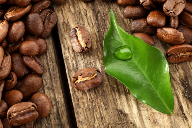 Обои картинки фото еда, кофе, кофейные, зёрна, листик, капля, стол