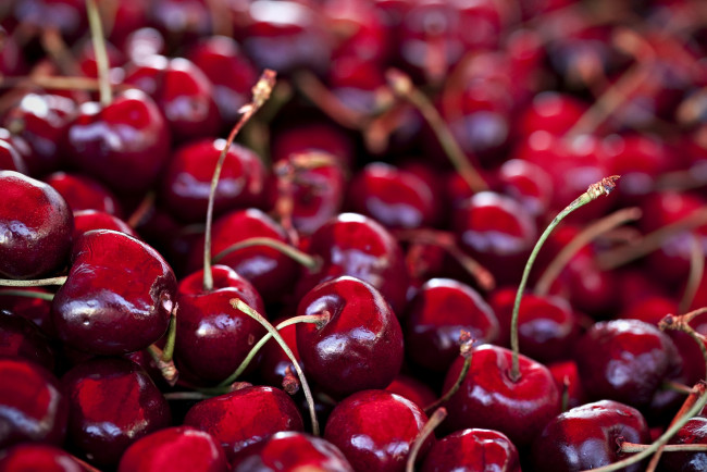 Обои картинки фото еда, вишня, черешня