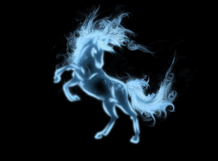 Картинка 3д+графика животные+ animals лошадь черный фон хвост копыта грива