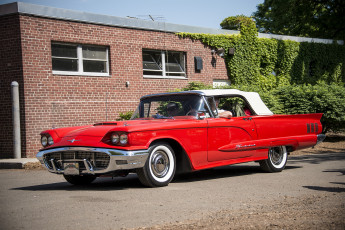 Картинка ford+thunderbird автомобили ford автошоу автопробег выставка