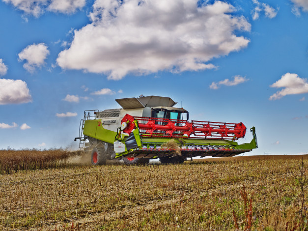 Обои картинки фото техника, комбайны, комбайн, дорога, поле