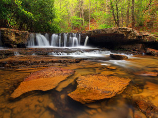 Картинка природа водопады водопад река лес