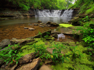Картинка природа водопады водопад река лес