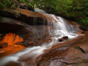 Картинка природа водопады водопад река лес