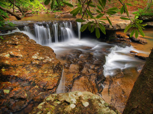 Картинка природа водопады водопад река лес