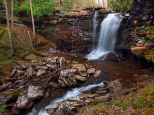 Картинка природа водопады водопад река лес