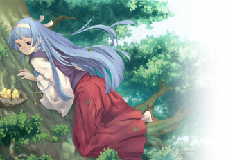 Картинка аниме kannagi птенцы гнездо nagi crazy shrine maidens девушка дерево арт pua