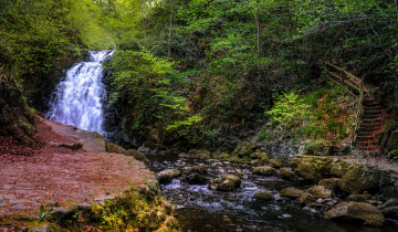 Картинка природа водопады лес река водопад
