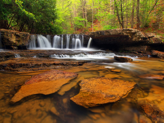 Обои картинки фото природа, водопады, водопад, река, лес