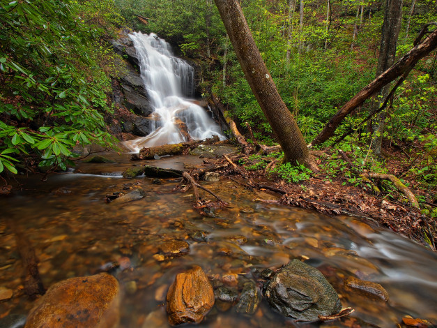 Обои картинки фото природа, водопады, водопад, река, лес
