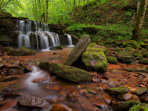 Обои картинки фото природа, водопады, водопад, река, лес