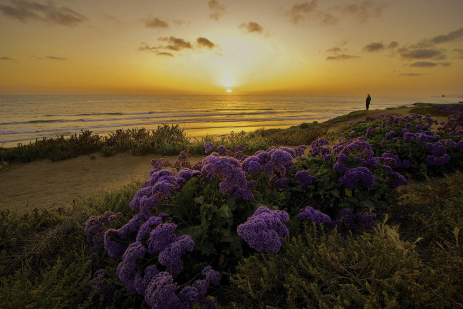 Обои картинки фото природа, восходы, закаты, сумерки