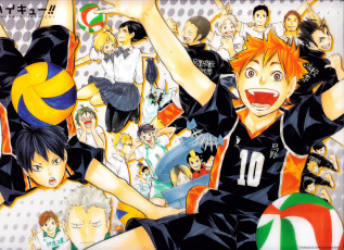 Картинка аниме haikyuu карасуно команда парни