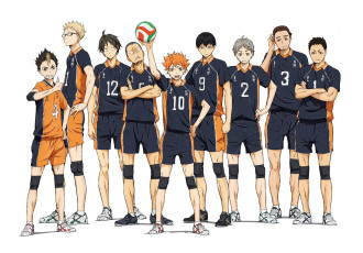 Картинка аниме haikyuu карасуно парни команда
