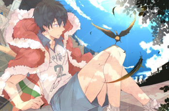 Картинка аниме haikyuu кагеяма тобио птица