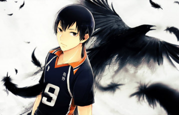 Картинка аниме haikyuu ворон кагеяма тобио