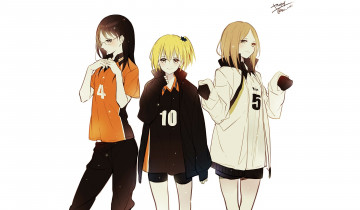 Картинка аниме hakuoki девушки