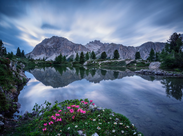 Обои картинки фото природа, реки, озера, горы, озеро, цветы