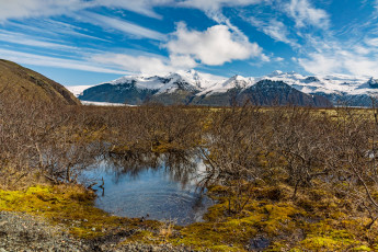 Картинка природа реки озера река лес