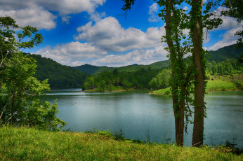 Картинка природа реки озера лес река