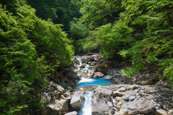 Картинка природа реки озера река лес