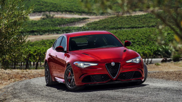 Картинка alfa+romeo+giulia+quadrifoglio+2017 автомобили alfa+romeo 2017 quadrifoglio giulia alfa romeo