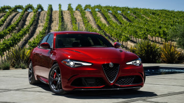 Картинка alfa+romeo+giulia+quadrifoglio+2017 автомобили alfa+romeo giulia alfa romeo 2017 quadrifoglio