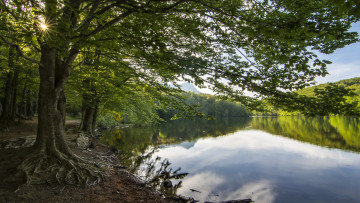 Картинка природа реки озера река лес