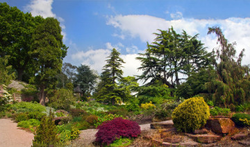 Картинка природа парк кустарники деревья облака