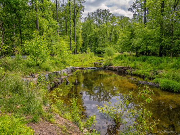 Обои картинки фото природа, реки, озера, река, лес