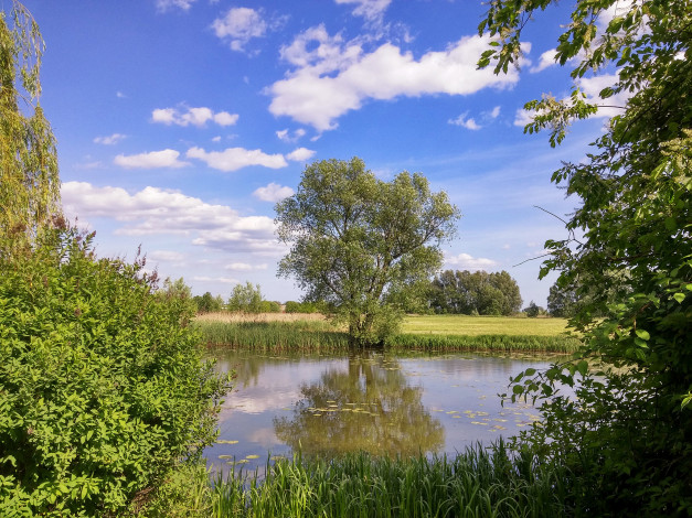 Обои картинки фото природа, реки, озера, река, лес