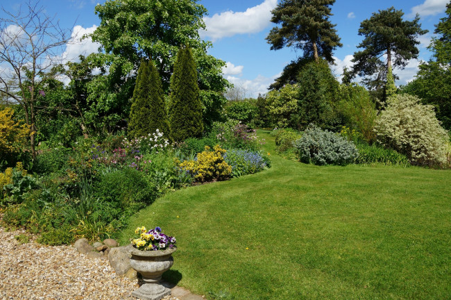 Обои картинки фото природа, парк, цветы, кустарники, деревья, облака