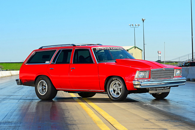Обои картинки фото 1979-chevrolet-malibu-wagon, автомобили, chevrolet