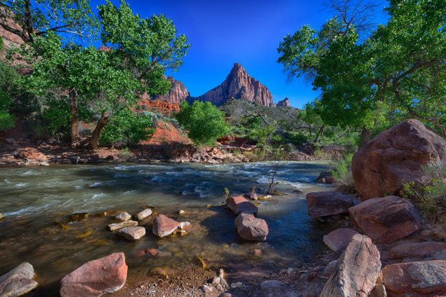 Обои картинки фото природа, реки, озера, река, лес